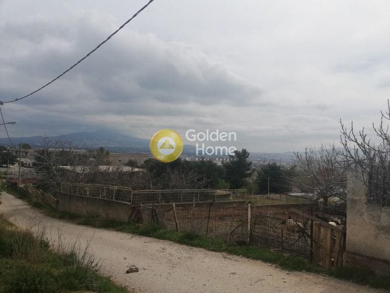 Parcel in Megala Sxoinia A, Acharnes — Photo 4 of 5