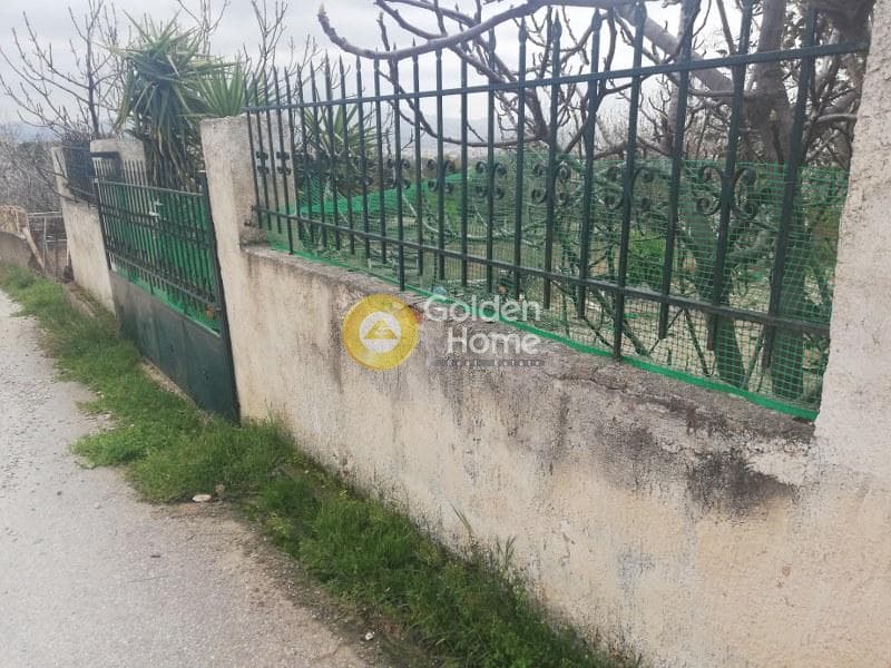 Parcel in Megala Sxoinia A, Acharnes — Photo 2 of 5