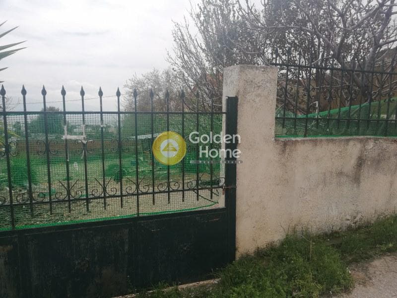 Parcel in Megala Sxoinia A, Acharnes — Photo 3 of 5
