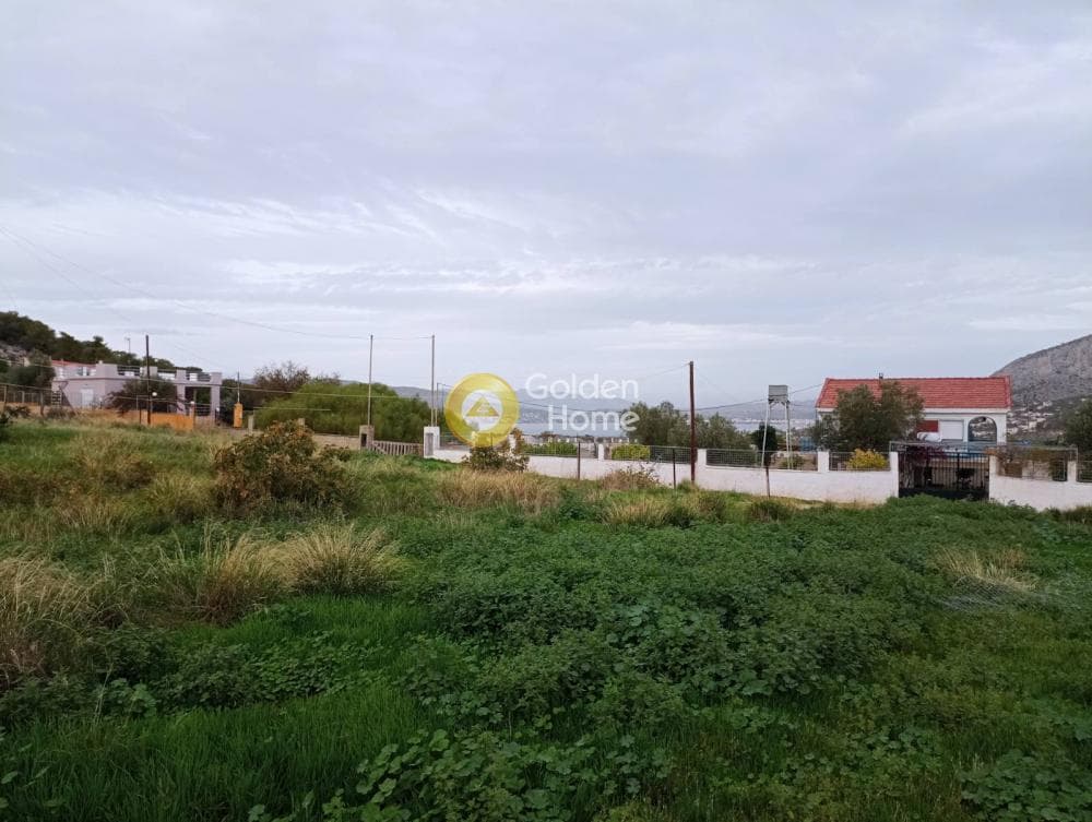 Parcel in Kaki Vigla, Salamina — Photo 1 of 3
