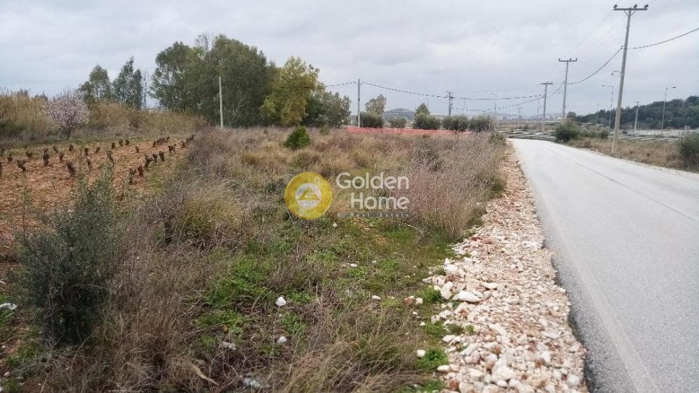 Οικόπεδο στην Κάτω Χαρβάτι, Παλλήνη — Φωτογραφία 2 από 2