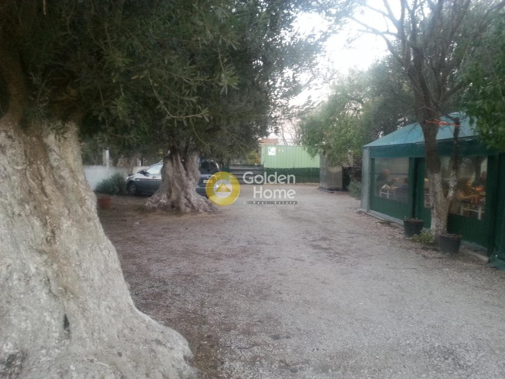 Μονοκατοικία στην Νεάπολη, Σπάτα — Φωτογραφία 1 από 27