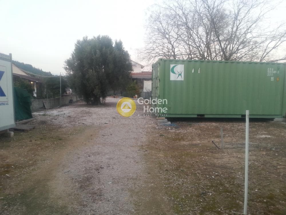 Μονοκατοικία στην Νεάπολη, Σπάτα — Φωτογραφία 6 από 27
