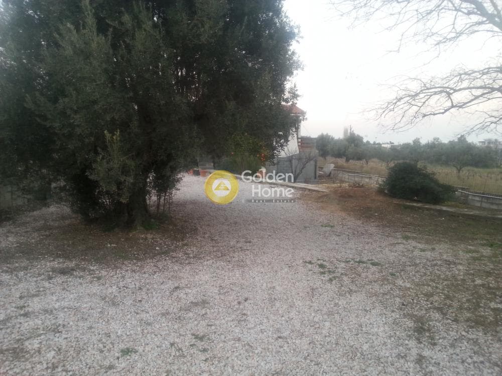 Μονοκατοικία στην Νεάπολη, Σπάτα — Φωτογραφία 11 από 27