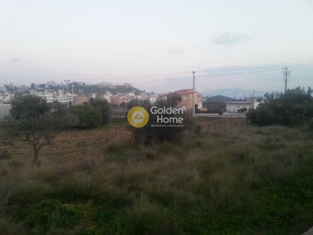 Μονοκατοικία στην Νεάπολη, Σπάτα — Φωτογραφία 25 από 27