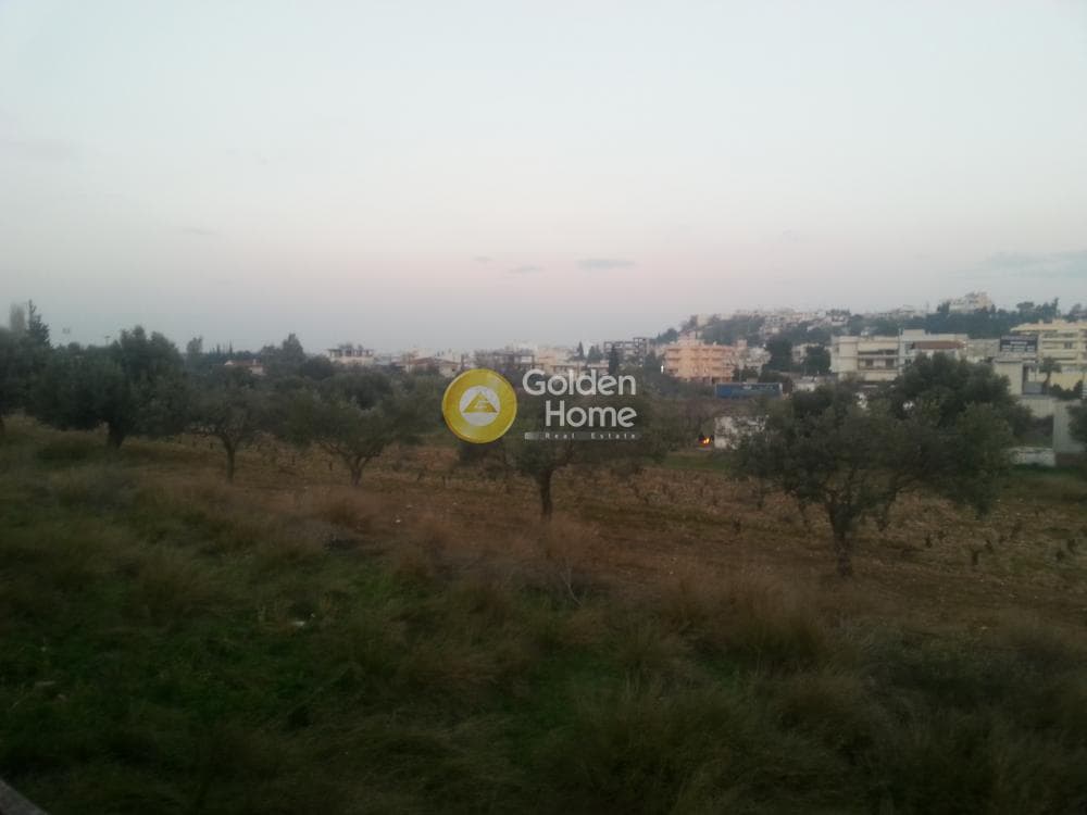 Μονοκατοικία στην Νεάπολη, Σπάτα — Φωτογραφία 26 από 27