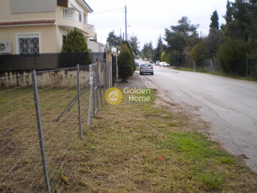 Building Plot in Adames Oikismos Grammos - Foinikas, Kifisia — Photo 4 of 4