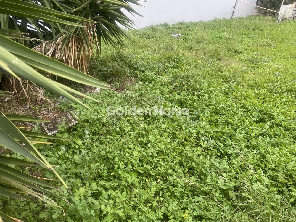 Building Plot in Center, Koropi — Photo 5 of 15