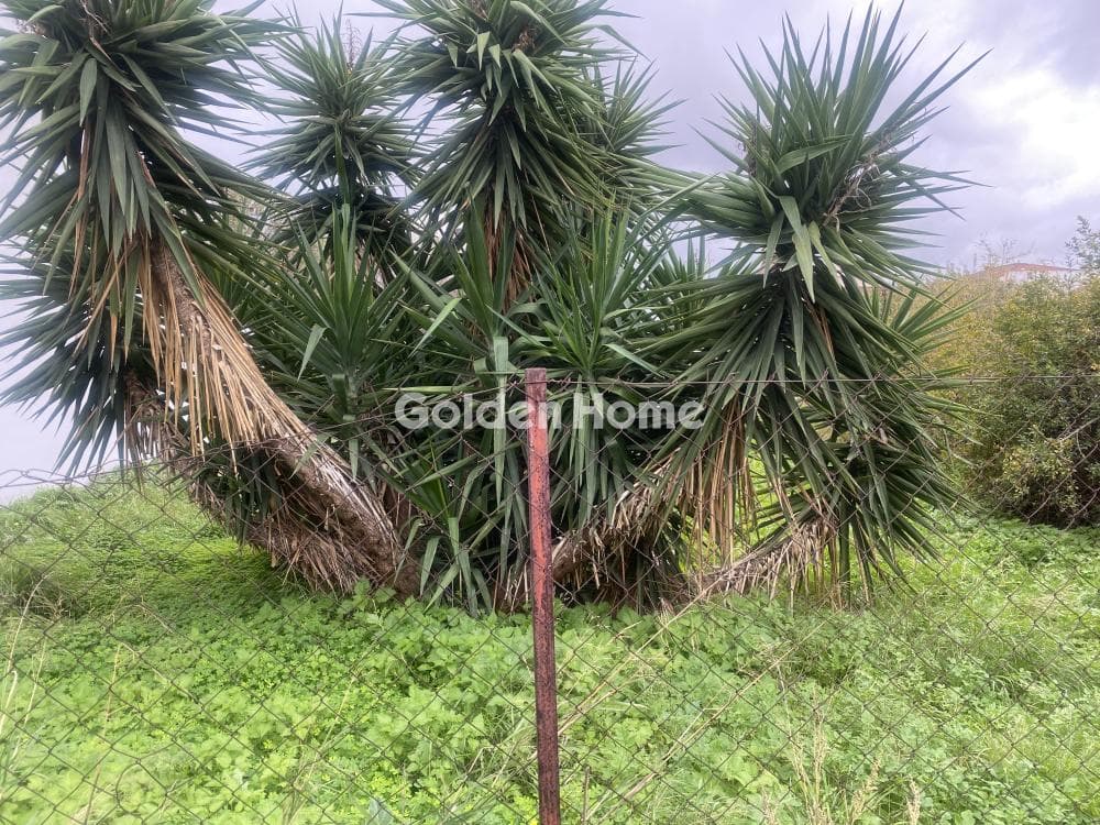 Building Plot in Center, Koropi — Photo 6 of 15