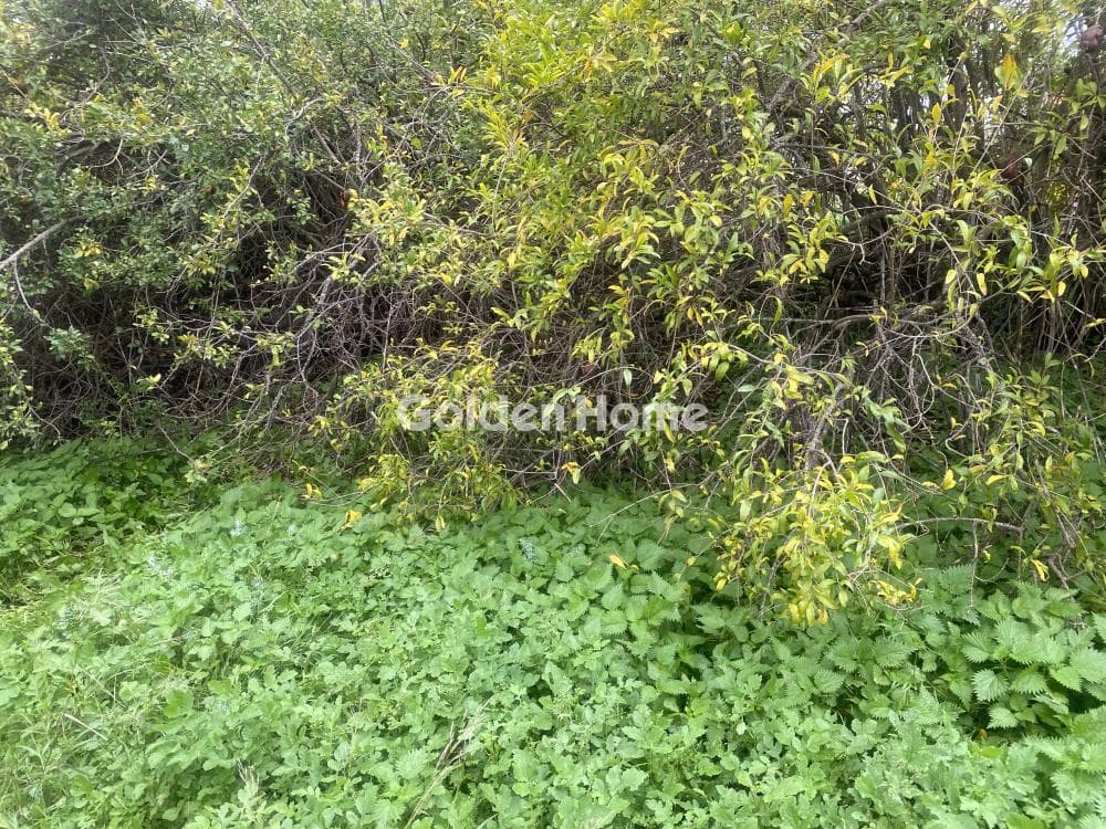 Building Plot in Center, Koropi — Photo 9 of 15