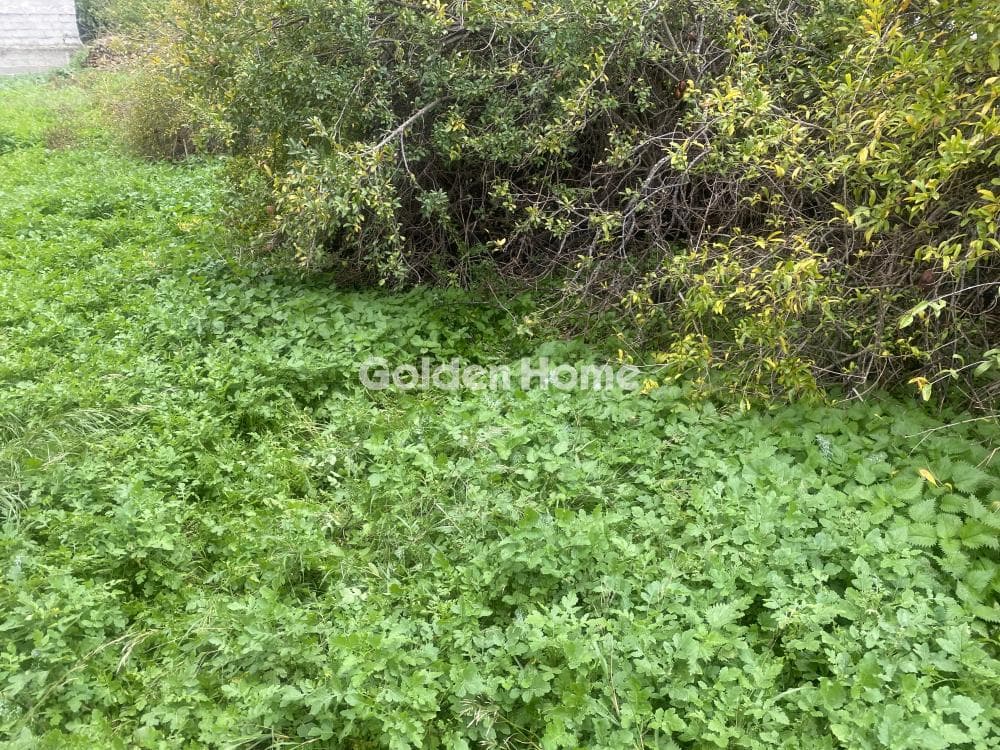 Building Plot in Center, Koropi — Photo 7 of 15