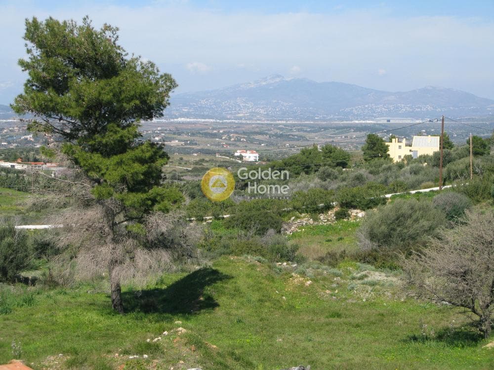 Μονοκατοικία στην Βένιο Δασκαλειού, Κερατέα — Φωτογραφία 2 από 8