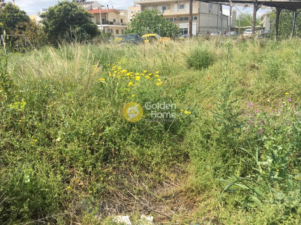 Οικόπεδο στην Πυργούθι, Αχαρνές — Φωτογραφία 1 από 3