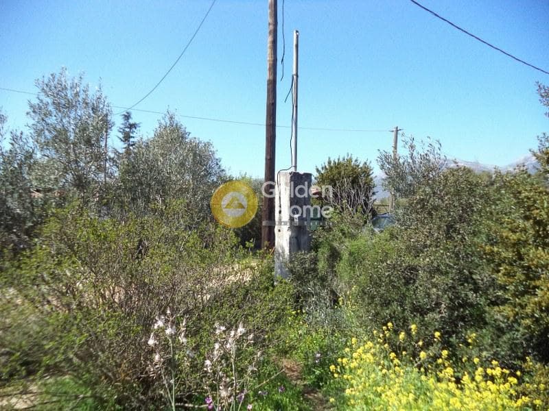 House in Megala Sxoinia A, Acharnes — Photo 9 of 9