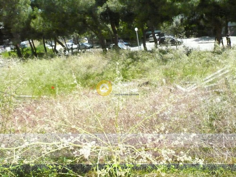 Οικόπεδο στην Χαραυγή, Δάφνη — Φωτογραφία 2 από 5