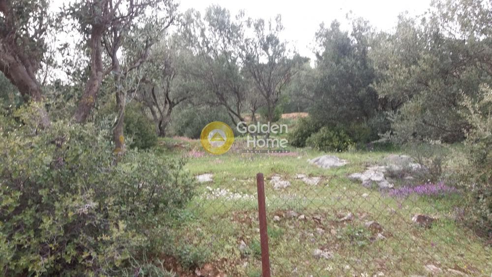 Αγροτεμάχιο στην Κέντρο, Πεντέλη — Φωτογραφία 1 από 13