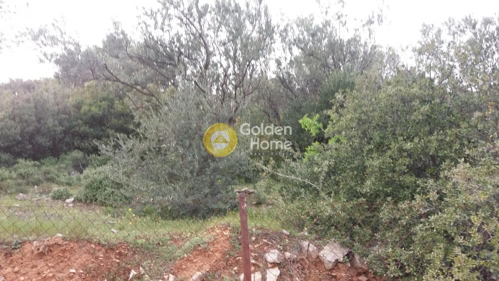 Αγροτεμάχιο στην Κέντρο, Πεντέλη — Φωτογραφία 3 από 13