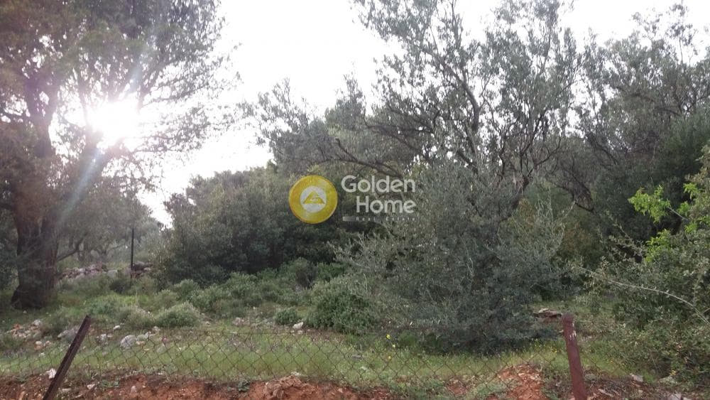 Αγροτεμάχιο στην Κέντρο, Πεντέλη — Φωτογραφία 7 από 13