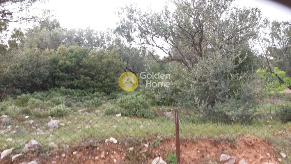 Αγροτεμάχιο στην Κέντρο, Πεντέλη — Φωτογραφία 8 από 13