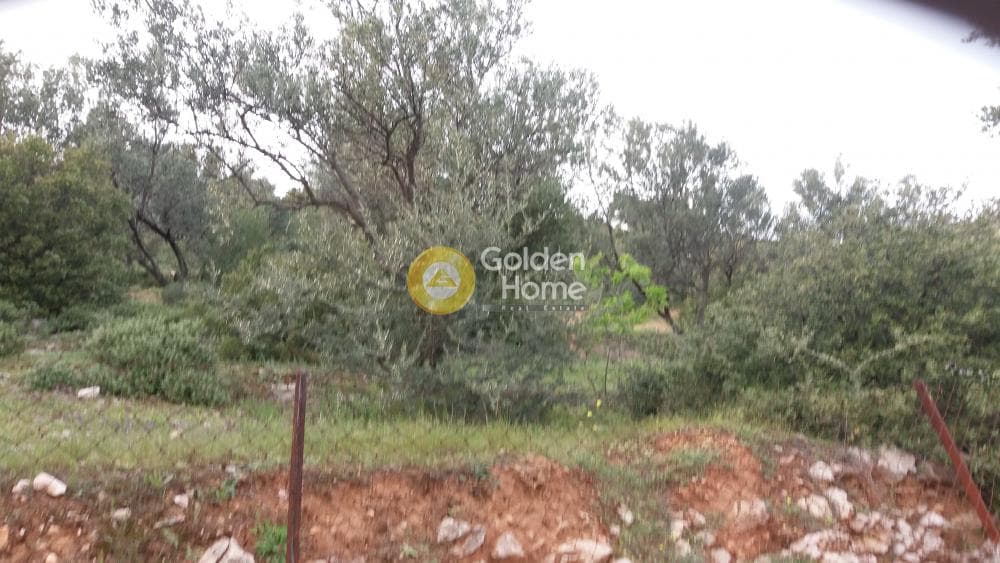 Αγροτεμάχιο στην Κέντρο, Πεντέλη — Φωτογραφία 9 από 13