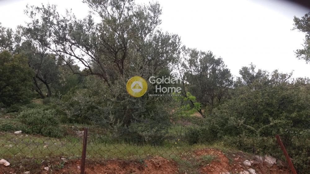Αγροτεμάχιο στην Κέντρο, Πεντέλη — Φωτογραφία 11 από 13