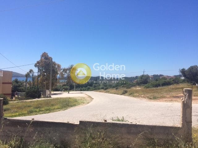 Parcel in Anavyssos Center, Anavissos — Photo 11 of 15