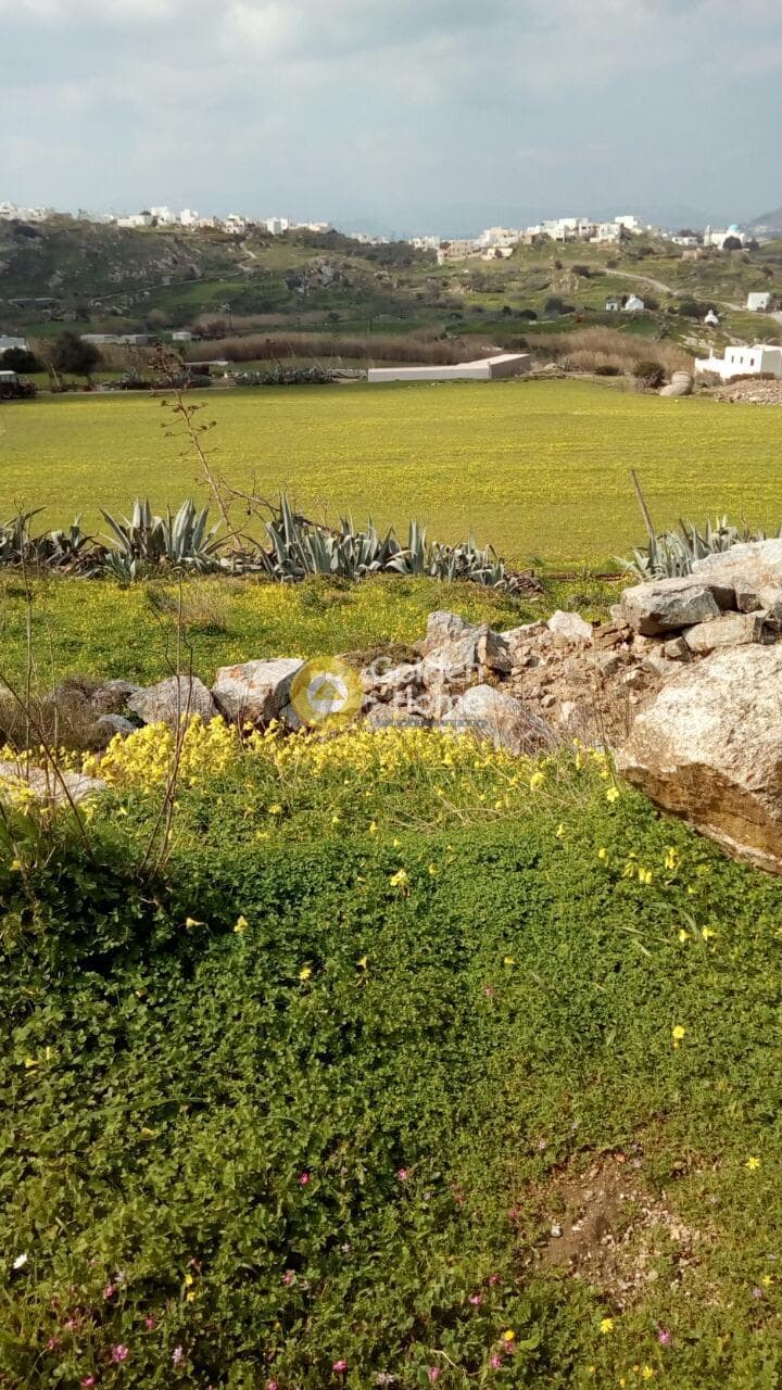 Οικόπεδο στην Γαλανάδο, Νάξος — Φωτογραφία 3 από 15