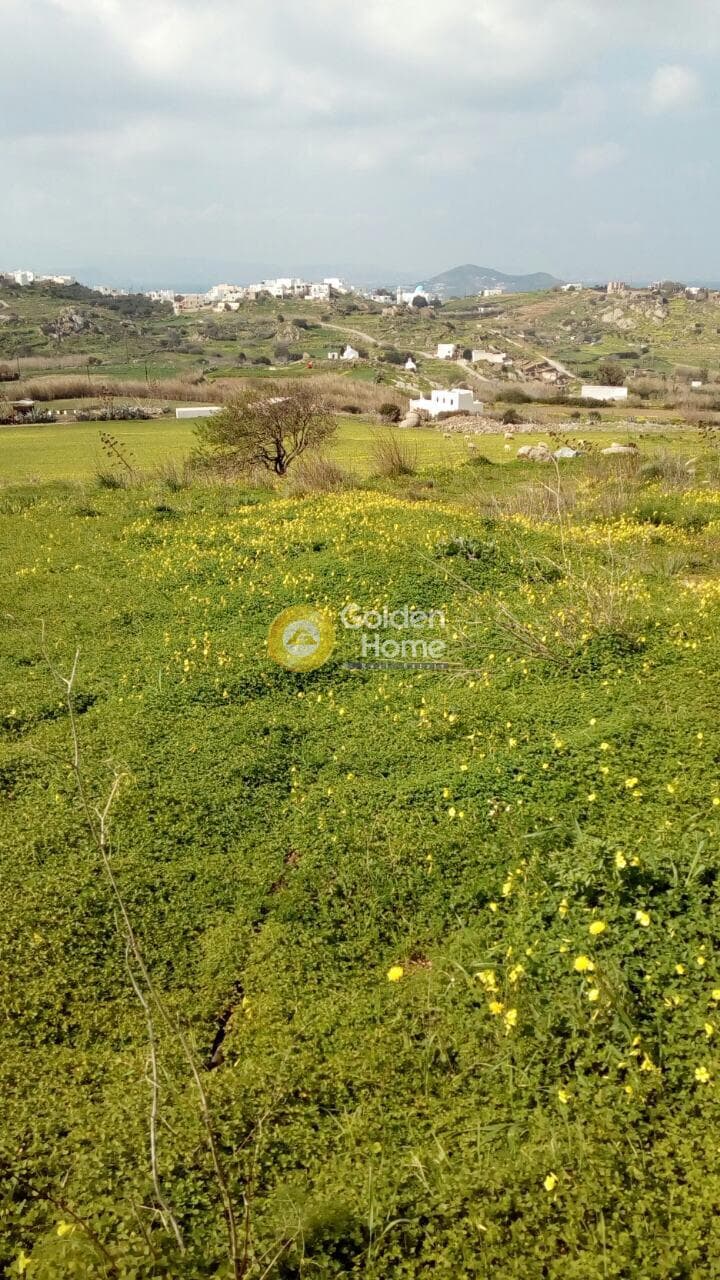 Οικόπεδο στην Γαλανάδο, Νάξος — Φωτογραφία 12 από 15
