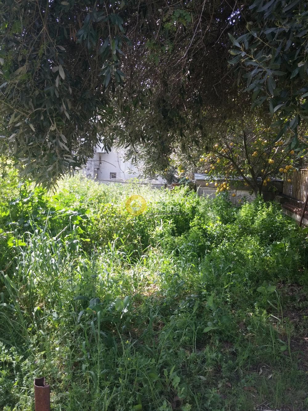 Οικόπεδο στην Μεγάλα Σχοινία Α, Αχαρνές — Φωτογραφία 6 από 8