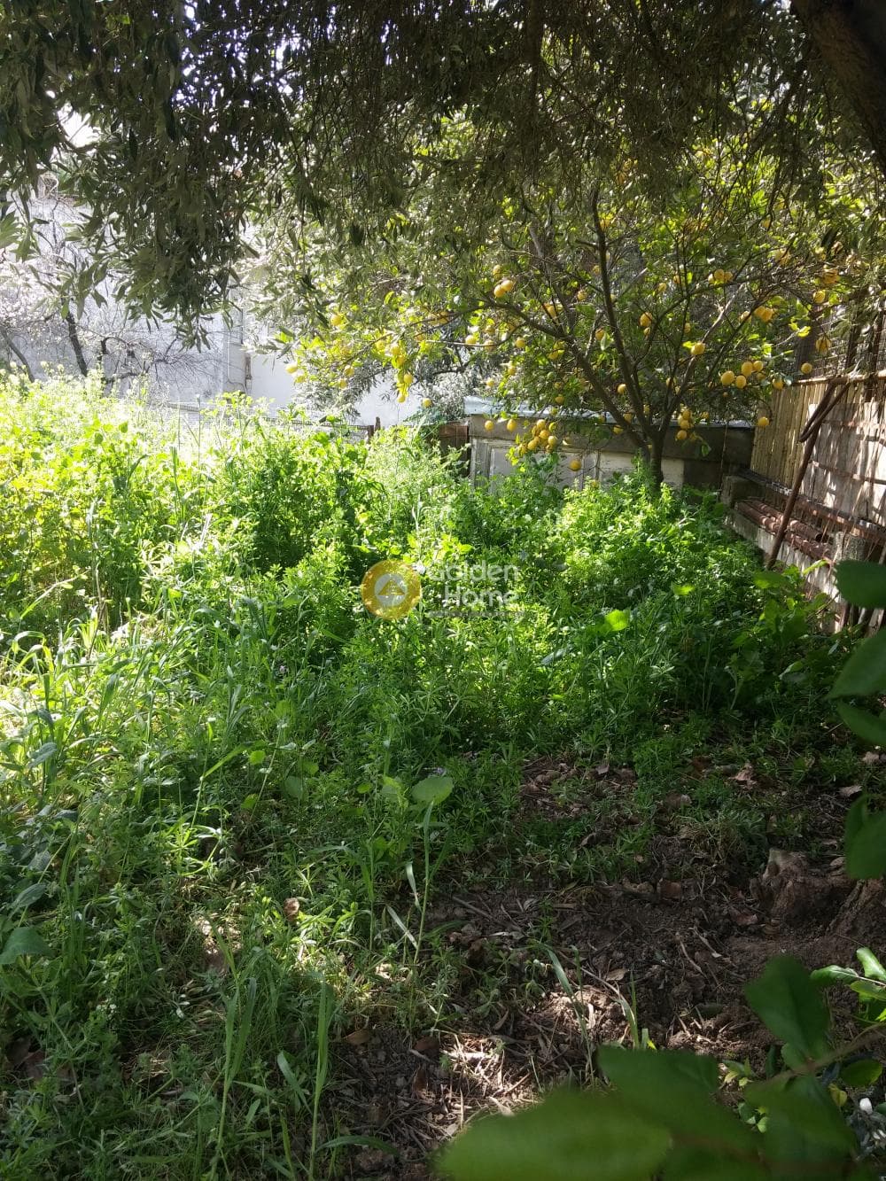 Οικόπεδο στην Μεγάλα Σχοινία Α, Αχαρνές — Φωτογραφία 4 από 8