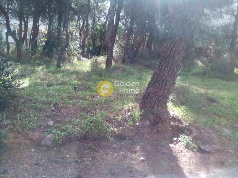 Building Plot in Rodopoli, Rodopoli — Photo 1 of 3