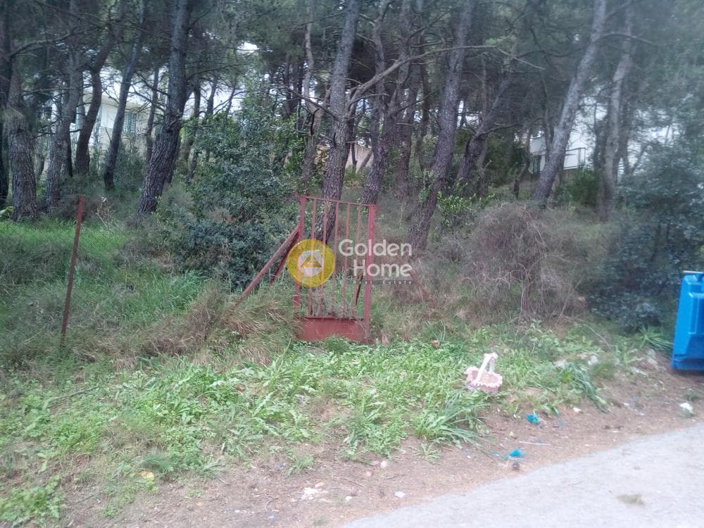 Building Plot in Rodopoli, Rodopoli — Photo 2 of 3