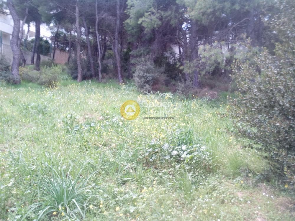 Building Plot in Rodopoli, Rodopoli — Photo 3 of 3