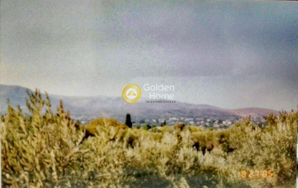 Μονοκατοικία στην Καμποχώρια, Χίος — Φωτογραφία 4 από 9