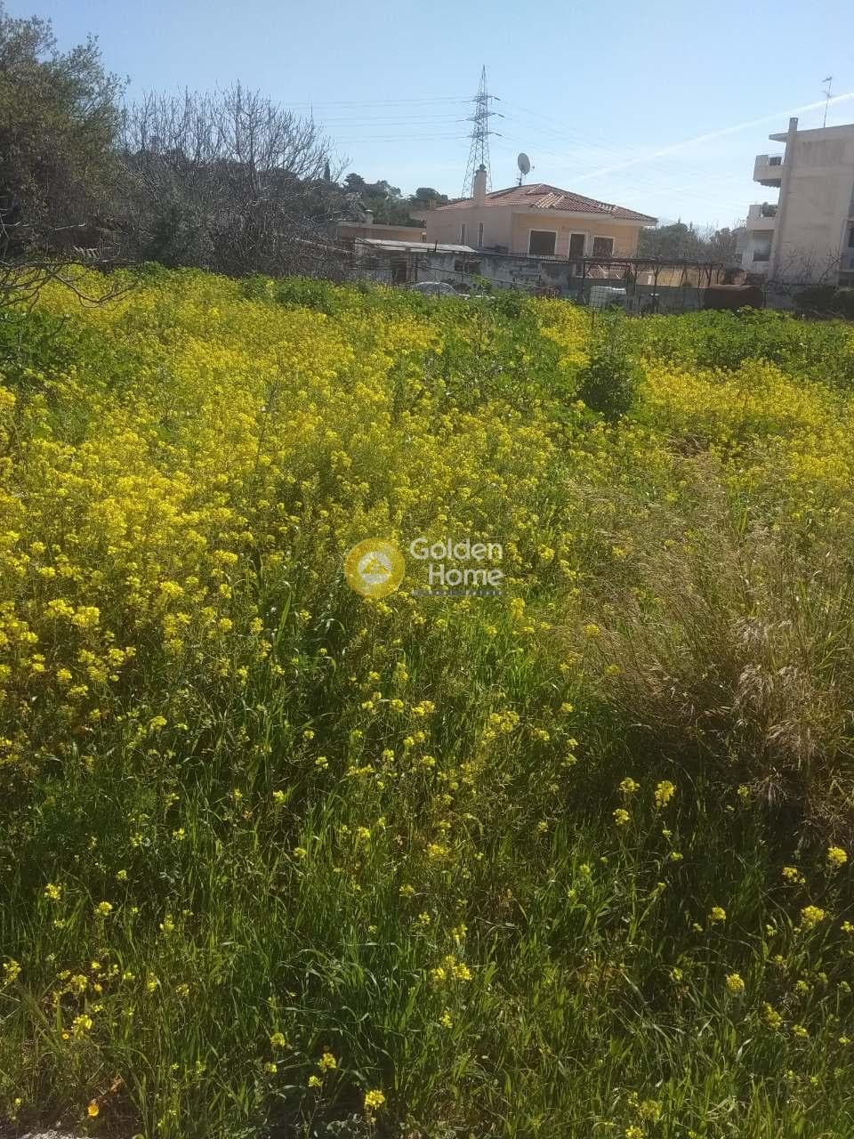 Building Plot in Micheli, Ilion — Photo 3 of 3