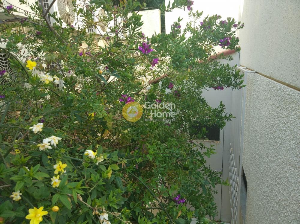 House in Menidiatika, Galatsi — Photo 77 of 83
