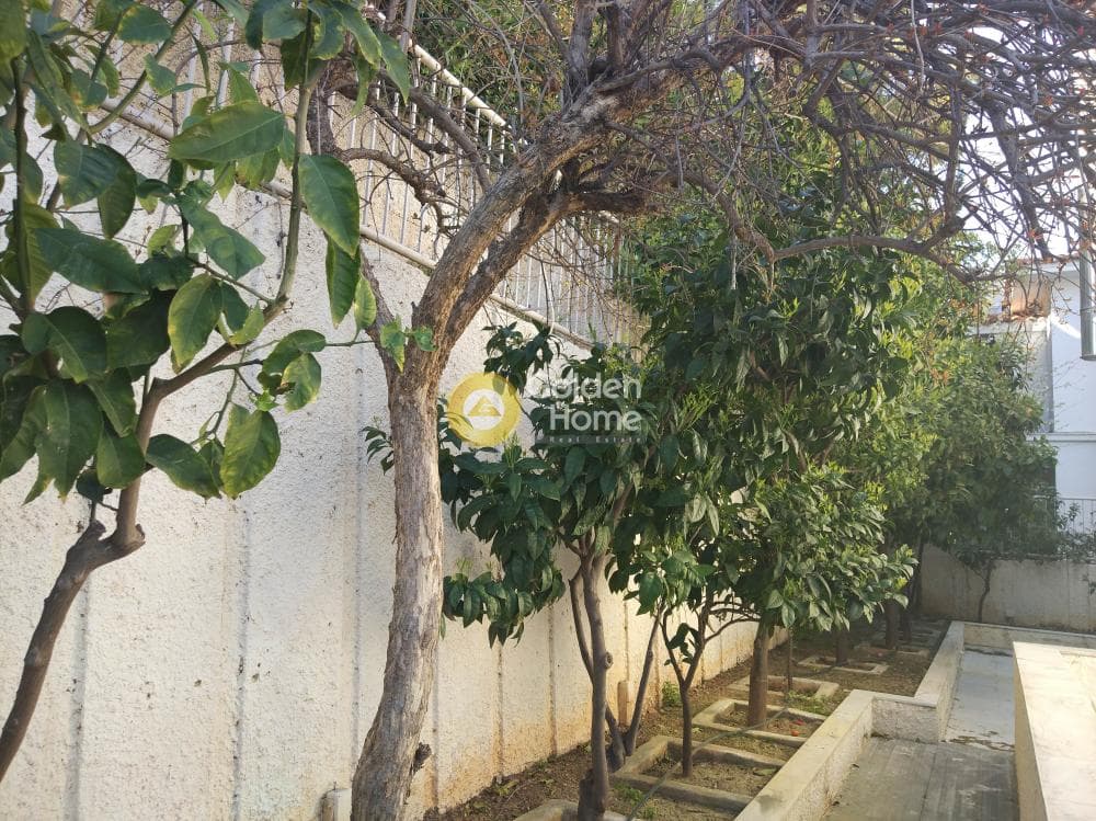 House in Menidiatika, Galatsi — Photo 81 of 83