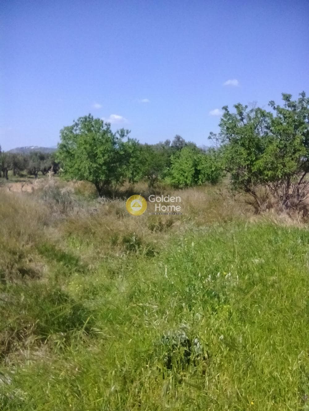 Αγροτεμάχιο στην Κέντρο, Κορωπί — Φωτογραφία 11 από 11