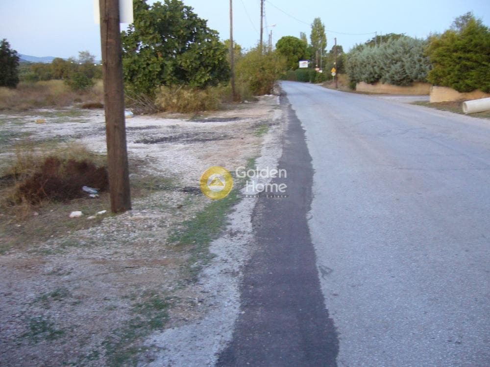 Αγροτεμάχιο στην Κέντρο, Κορωπί — Φωτογραφία 1 από 11