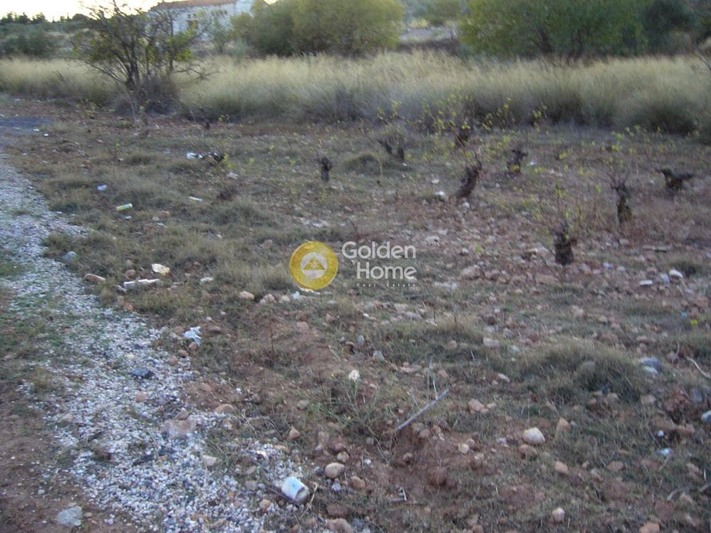 Αγροτεμάχιο στην Κέντρο, Κορωπί — Φωτογραφία 2 από 11