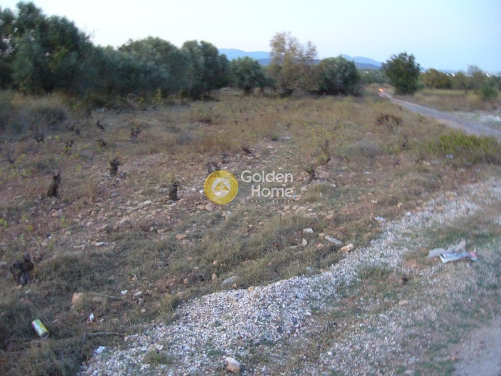 Αγροτεμάχιο στην Κέντρο, Κορωπί — Φωτογραφία 4 από 11