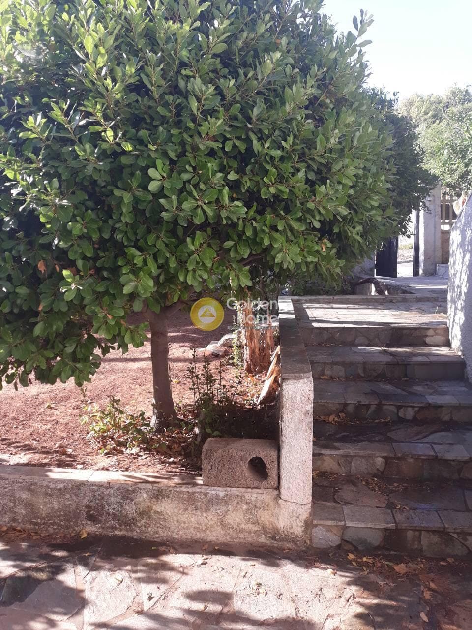 Μονοκατοικία στην Πρωτέας, Ραφήνα — Φωτογραφία 12 από 13
