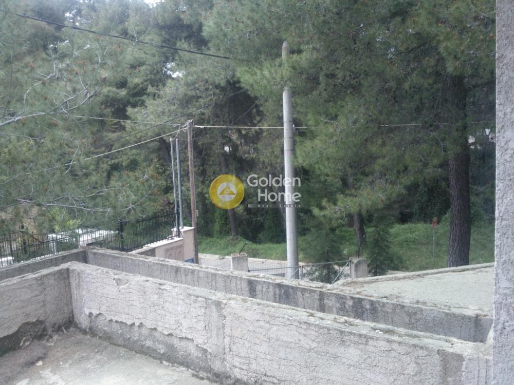 Μονοκατοικία στην Αδάμες (Οικισμός Πελοποννησίων), Κηφισιά — Φωτογραφία 10 από 11