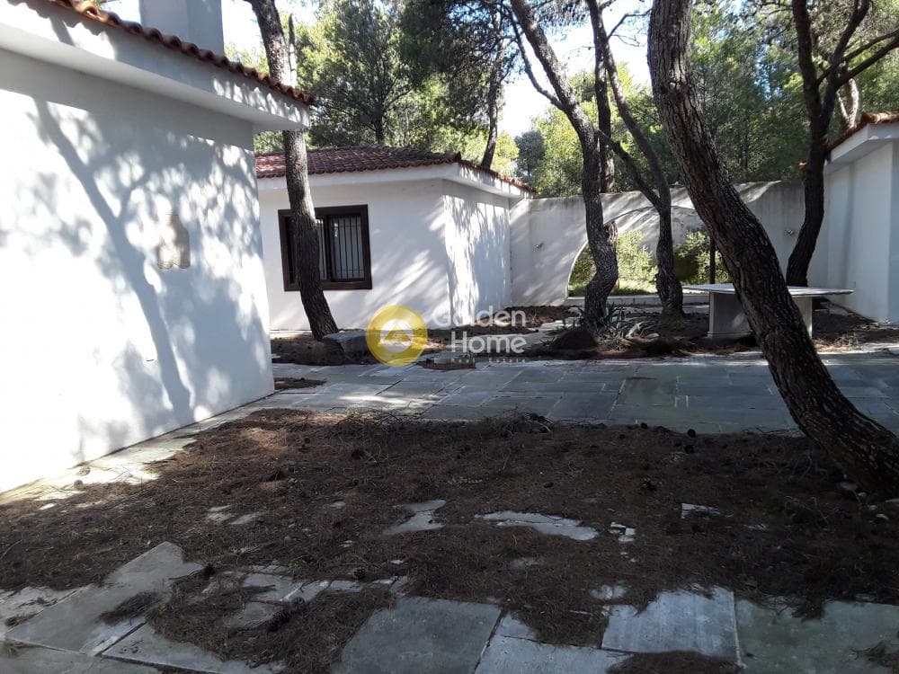 Οικόπεδο στην Μεγάλα Σχοινία Α, Αχαρνές — Φωτογραφία 16 από 20
