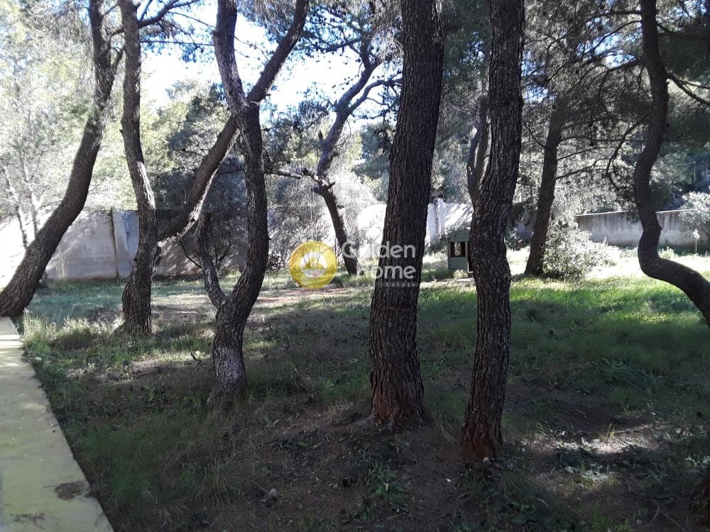 Οικόπεδο στην Μεγάλα Σχοινία Α, Αχαρνές — Φωτογραφία 10 από 20