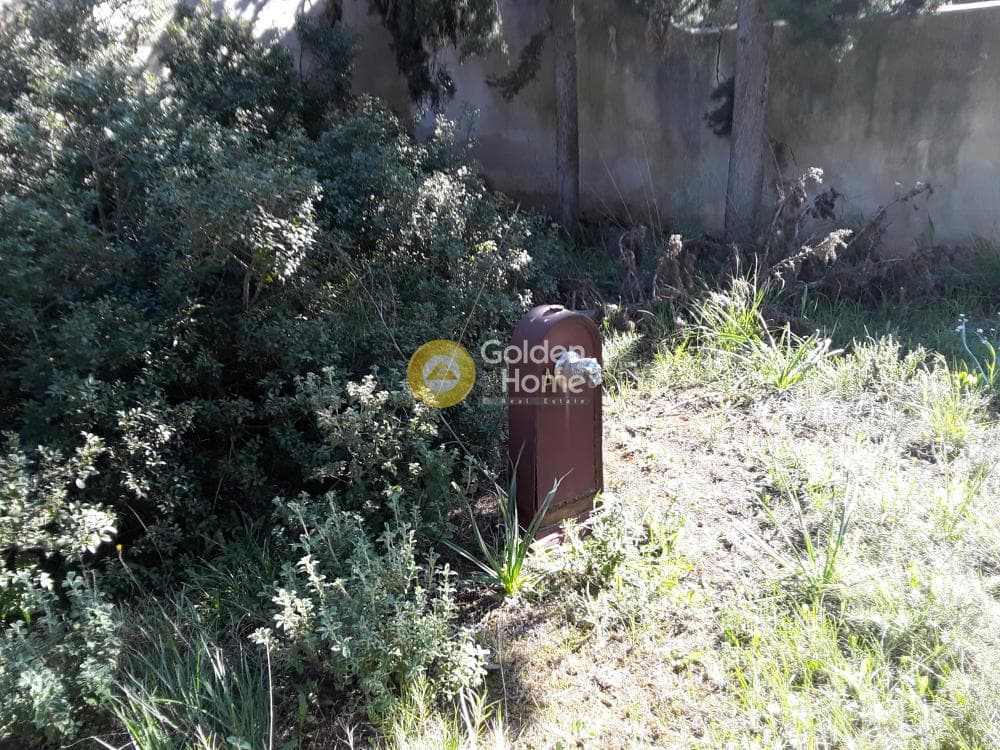 Οικόπεδο στην Μεγάλα Σχοινία Α, Αχαρνές — Φωτογραφία 17 από 20