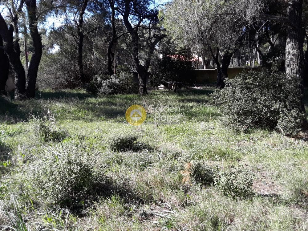 Οικόπεδο στην Μεγάλα Σχοινία Α, Αχαρνές — Φωτογραφία 7 από 20