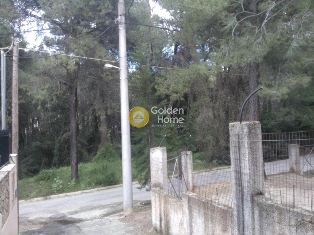 Μονοκατοικία στην Αδάμες (Οικισμός Πελοποννησίων), Κηφισιά — Φωτογραφία 4 από 11