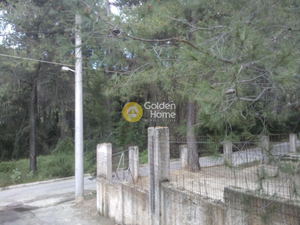 Μονοκατοικία στην Αδάμες (Οικισμός Πελοποννησίων), Κηφισιά — Φωτογραφία 5 από 11