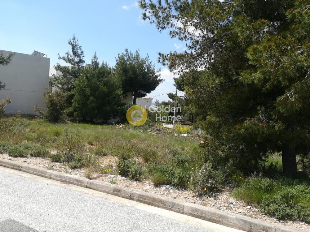 Οικόπεδο στην Πάτημα, Χαλάνδρι — Φωτογραφία 3 από 9